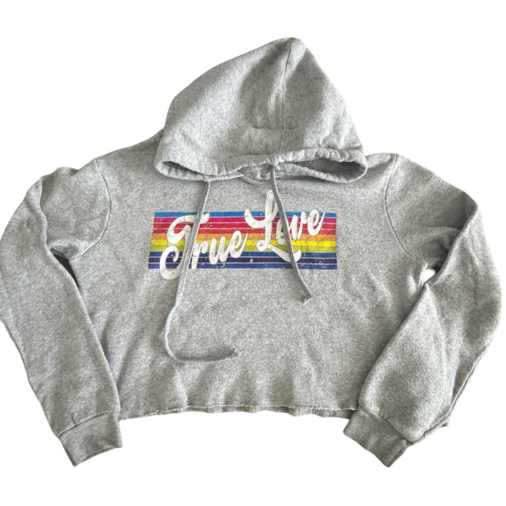 Gray Cropped Hoodie with Rainbow Graphic